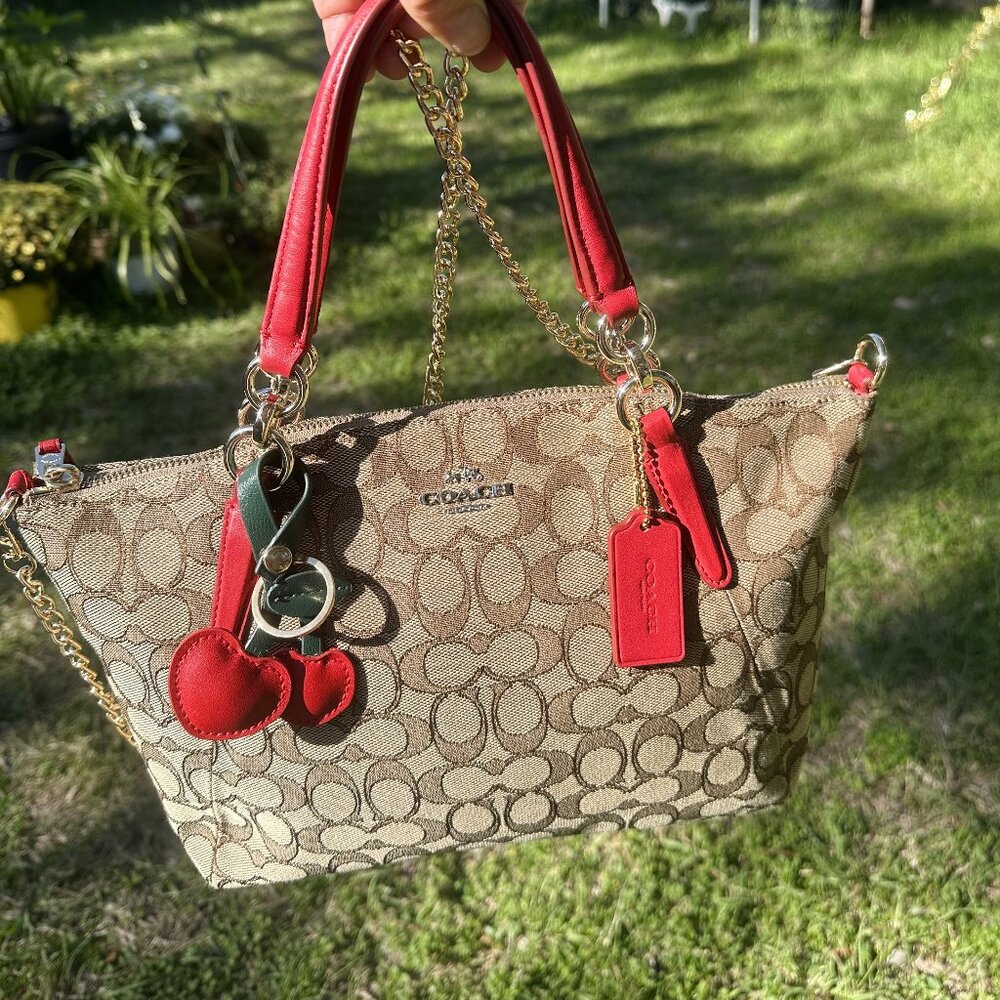 Coach Mini Kelsey Satchel Crossbody - Picture 3 of 16